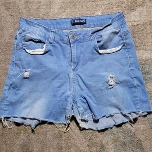 Blue Savvy Used Shorts Size 14